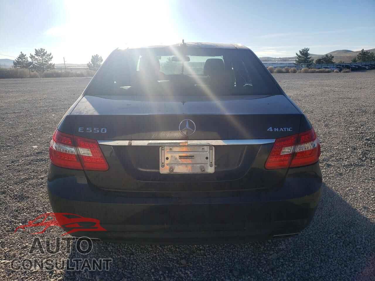 MERCEDES-BENZ E-CLASS 2010 - WDDHF9ABXAA114403