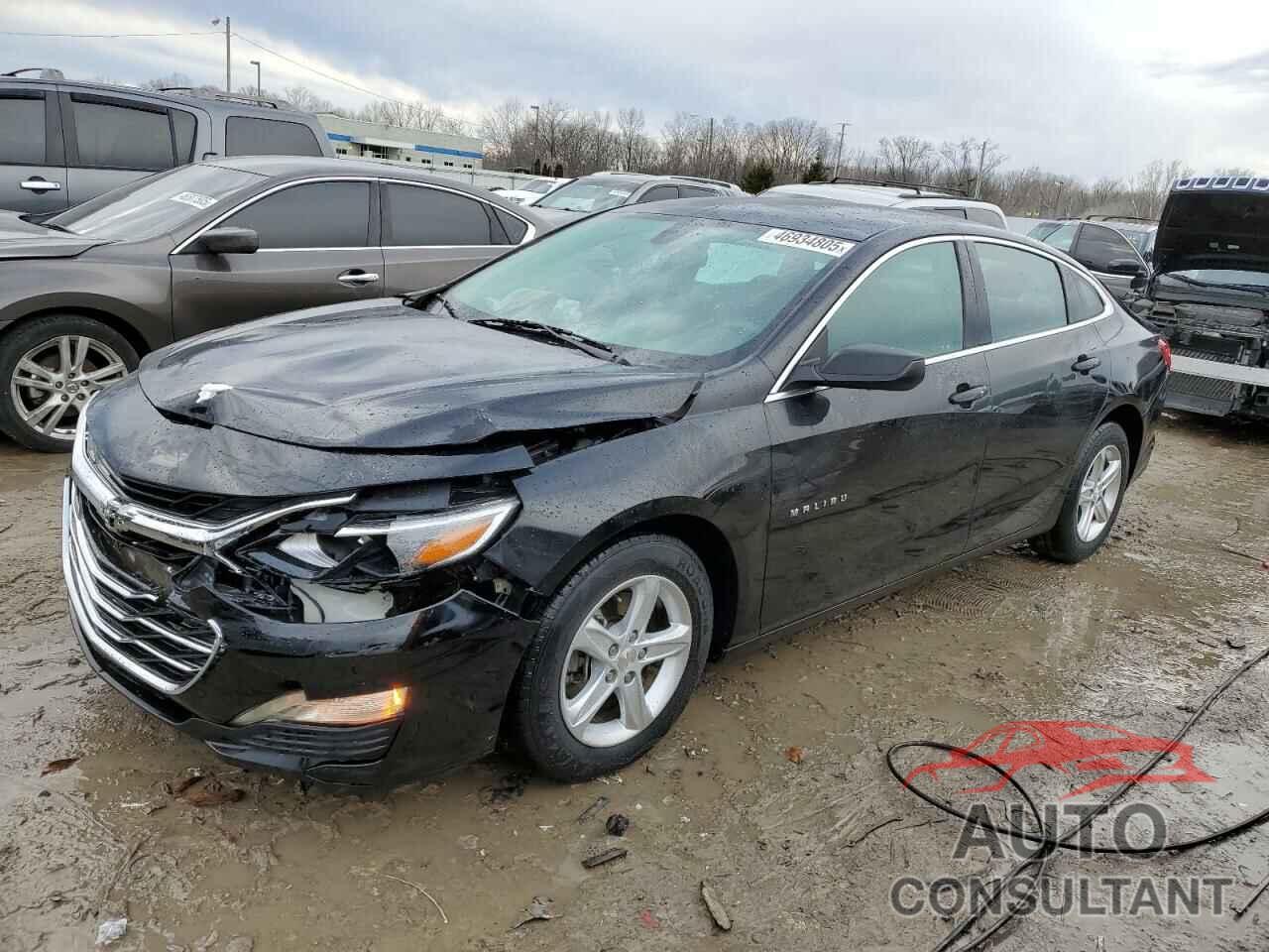 CHEVROLET MALIBU 2019 - 1G1ZB5ST7KF185128