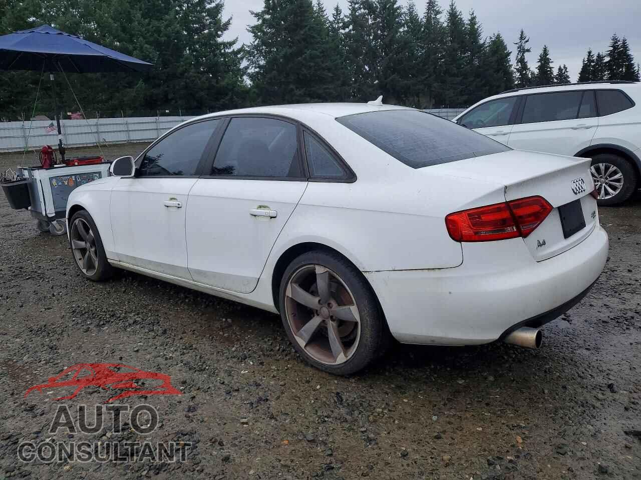 AUDI A4 2009 - WAULF78K99N022943