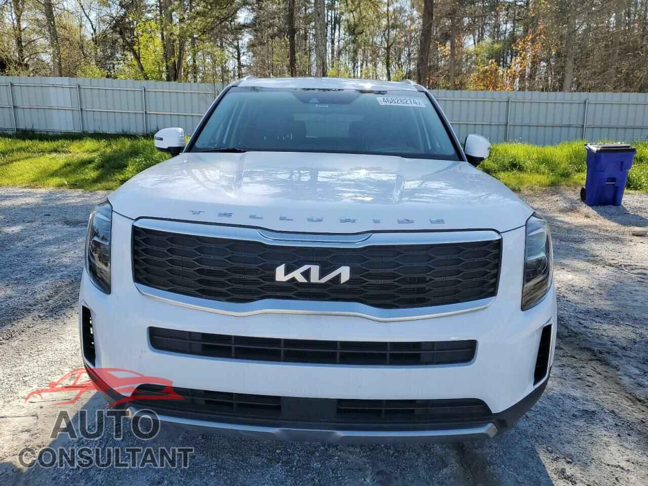 KIA TELLURIDE 2022 - 5XYP3DHC5NG257541