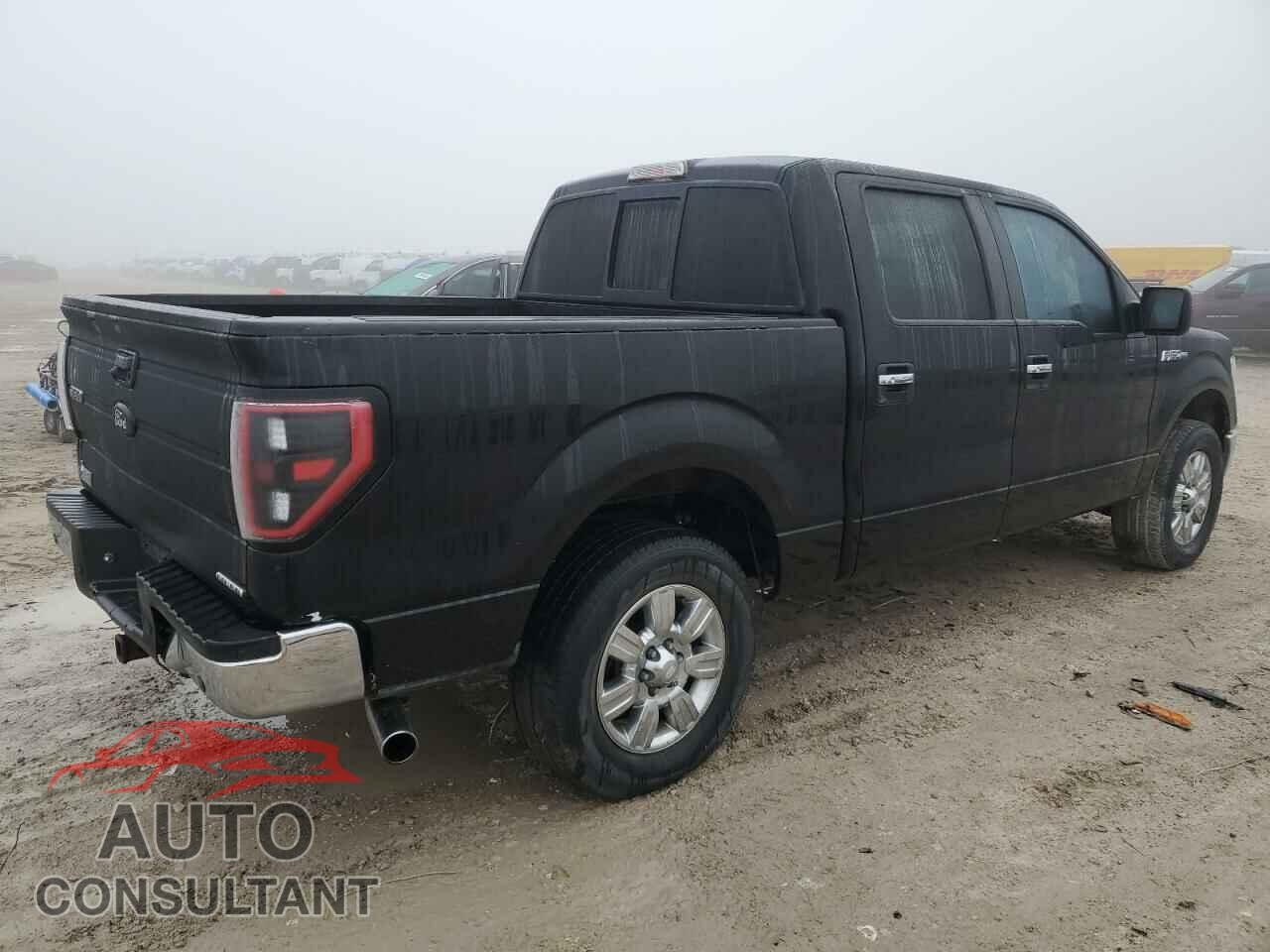 FORD F-150 2012 - 1FTFW1CF1CKE31499