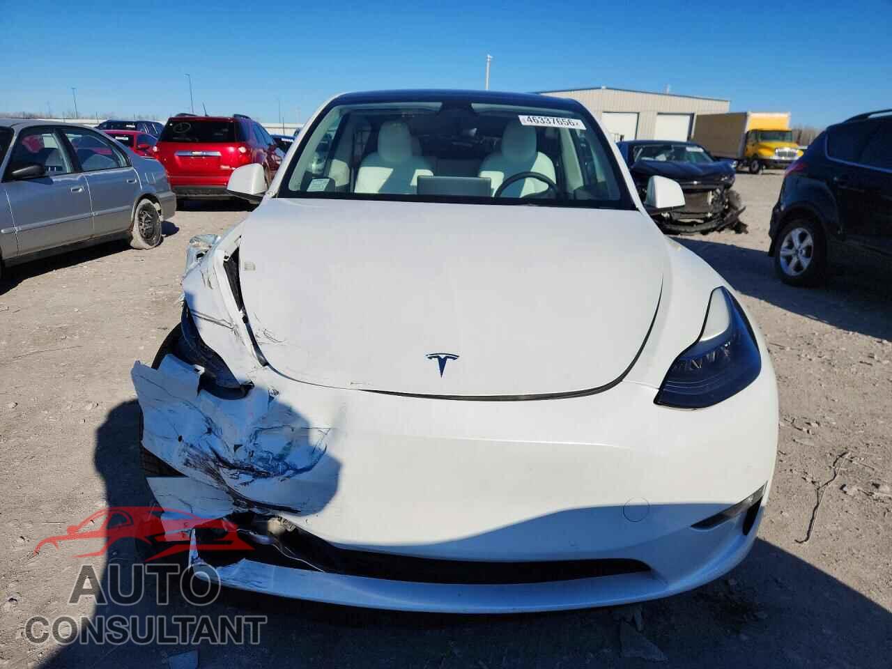 TESLA MODEL Y 2022 - 7SAYGAEE2NF521886