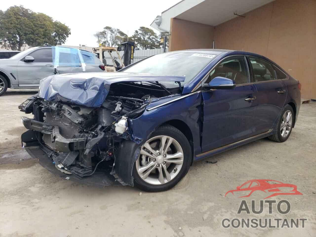 HYUNDAI SONATA 2019 - 5NPE34AF6KH785864