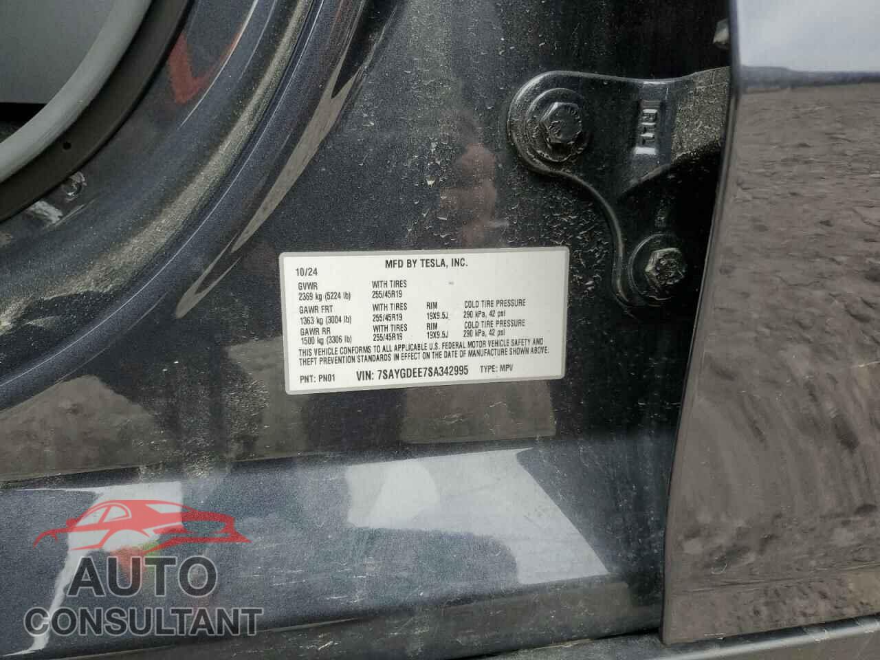 TESLA MODEL Y 2025 - 7SAYGDEE7SA342995