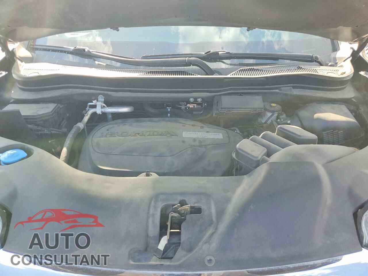 HONDA PILOT 2019 - 5FNYF5H59KB011355