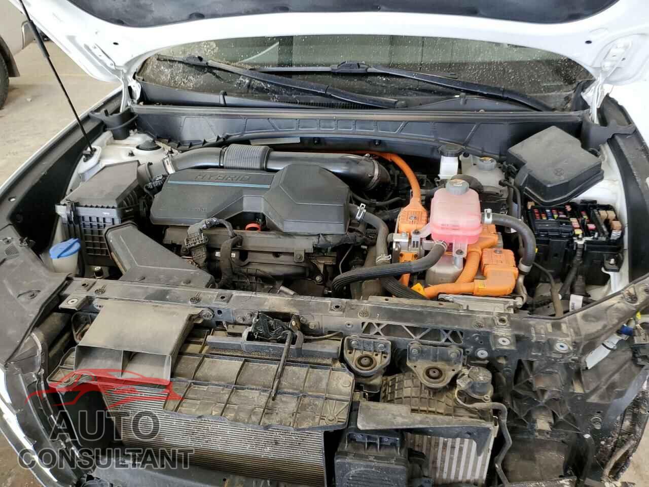 HYUNDAI TUCSON 2022 - KM8JBCA19NU030438