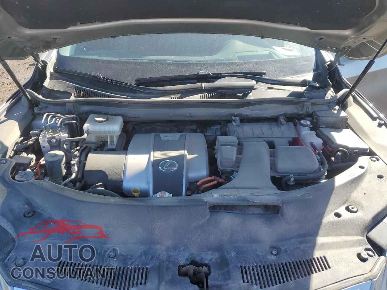 LEXUS RX450 2021 - 2T2JGMDAXMC070624