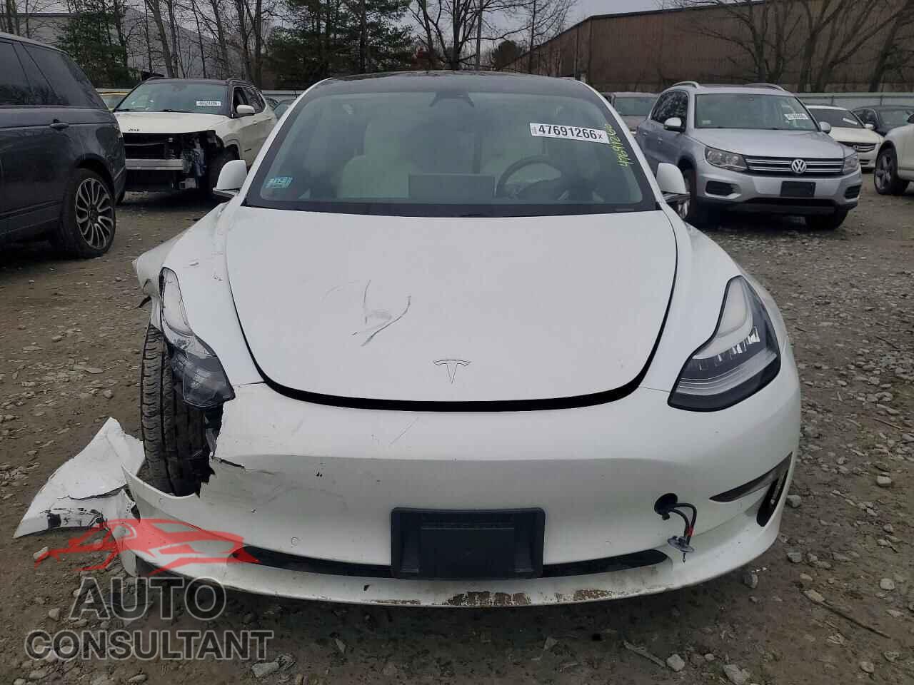 TESLA MODEL 3 2019 - 5YJ3E1EB3KF195594