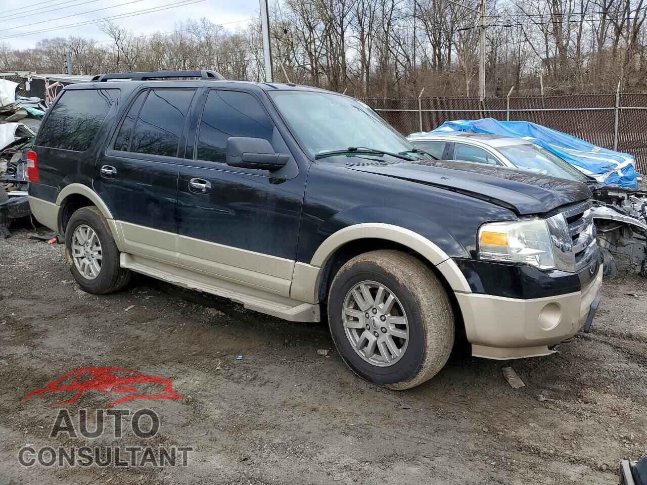FORD EXPEDITION 2010 - 1FMJU1J55AEB62067