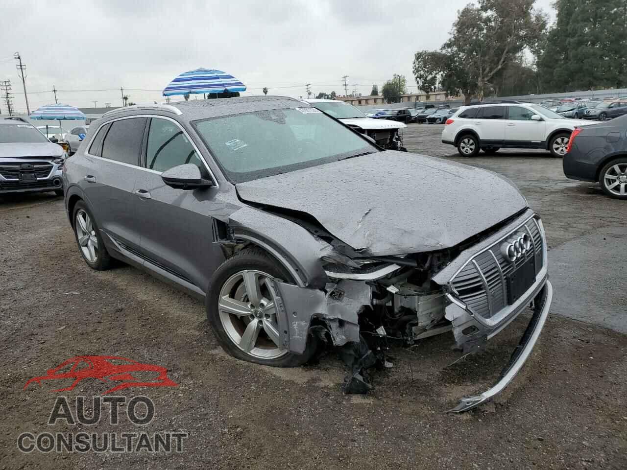 AUDI E-TRON 2019 - WA1LABGE7KB021954