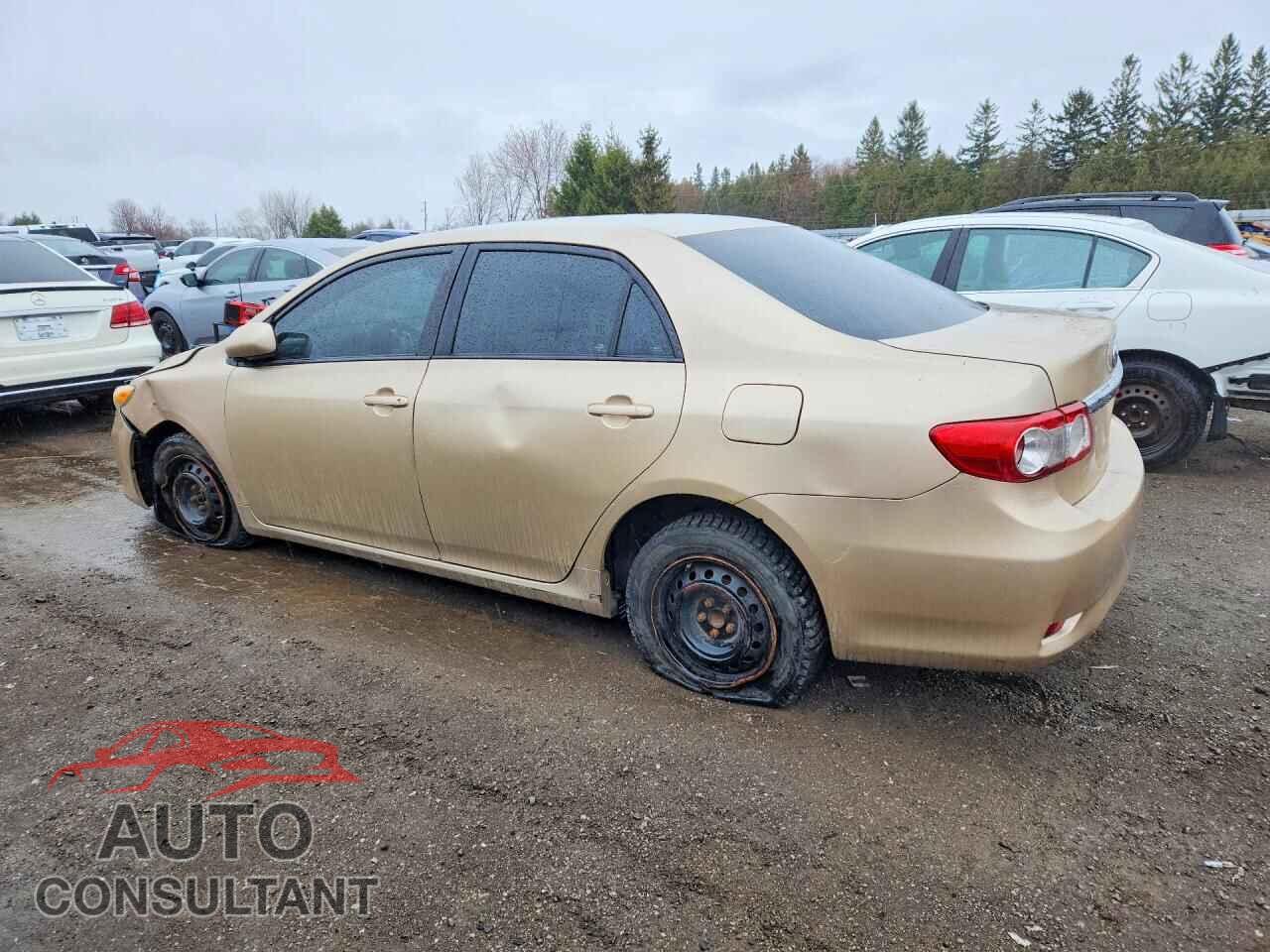 TOYOTA COROLLA 2011 - 2T1BU4EE6BC608980