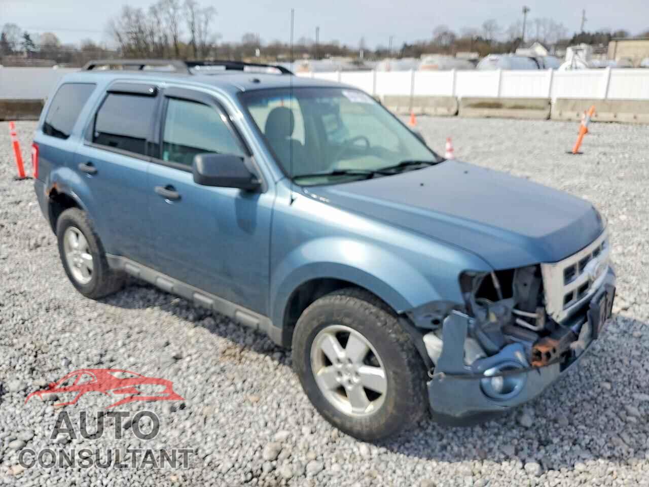 FORD ESCAPE 2010 - 1FMCU9DG7AKB54817