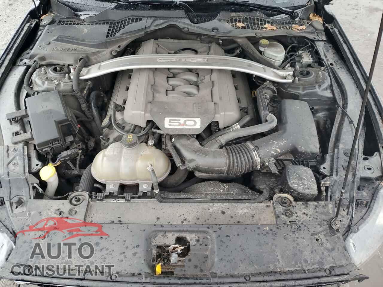 FORD MUSTANG 2017 - 1FA6P8CF6H5262680
