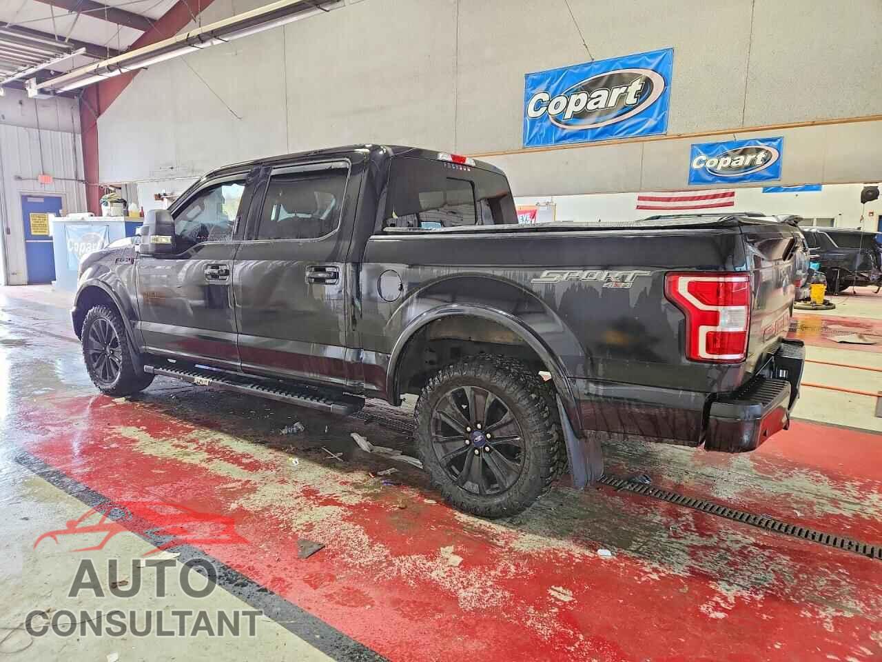 FORD F150 2019 - 1FTEW1E55KFA32845