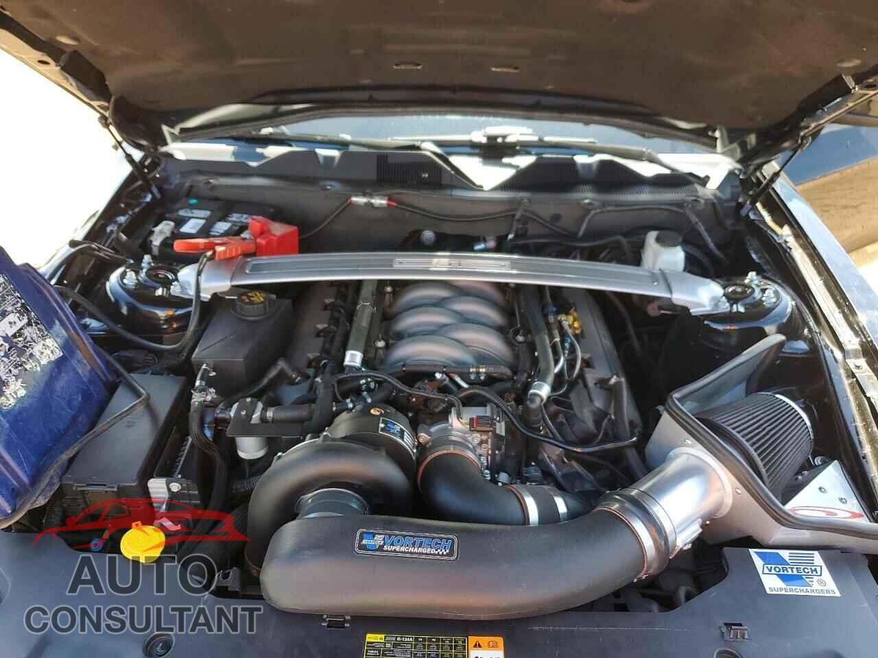 FORD MUSTANG 2011 - 1ZVBP8CF9B5169441