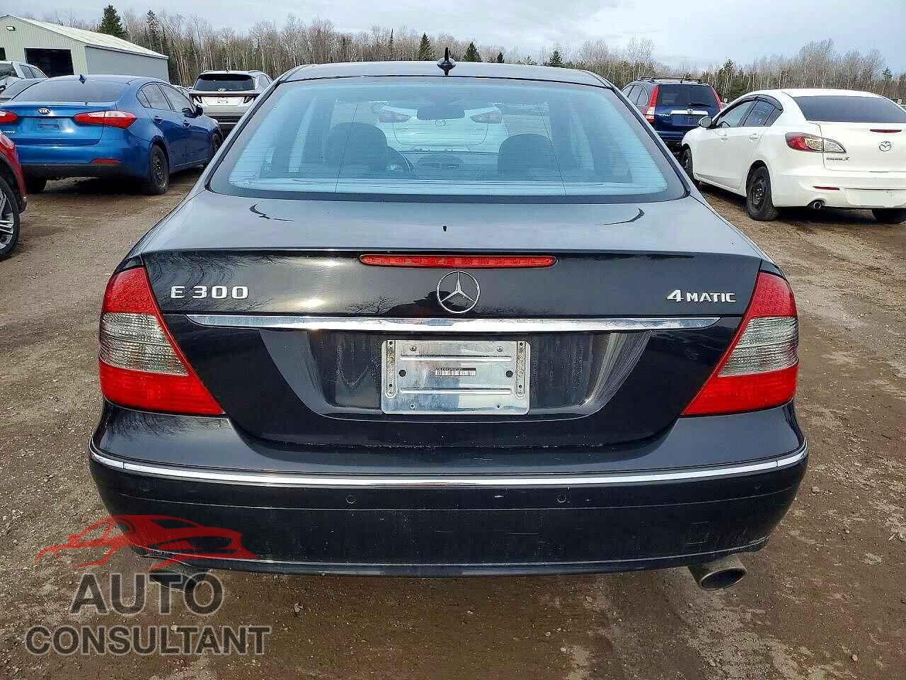MERCEDES-BENZ E-CLASS 2009 - WDBUF92X59B425759