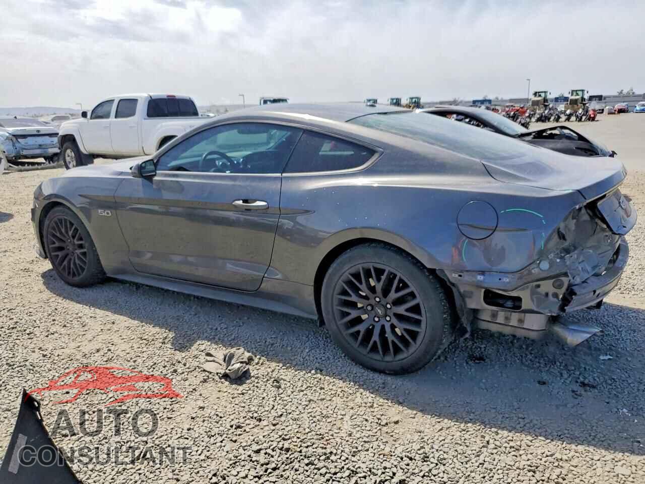 FORD MUSTANG 2019 - 1FA6P8CF6K5111572