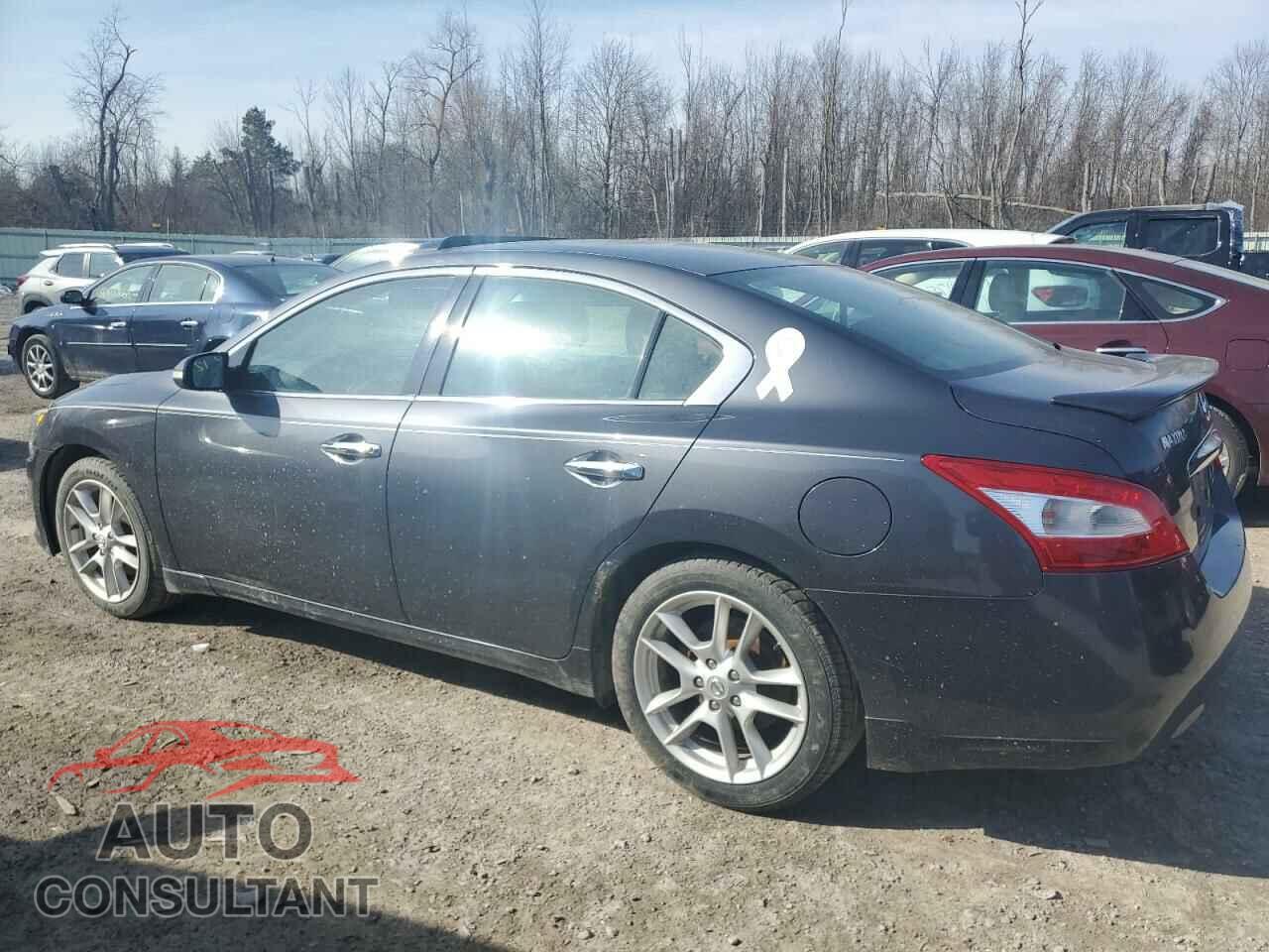 NISSAN MAXIMA 2009 - 1N4AA51E19C801532