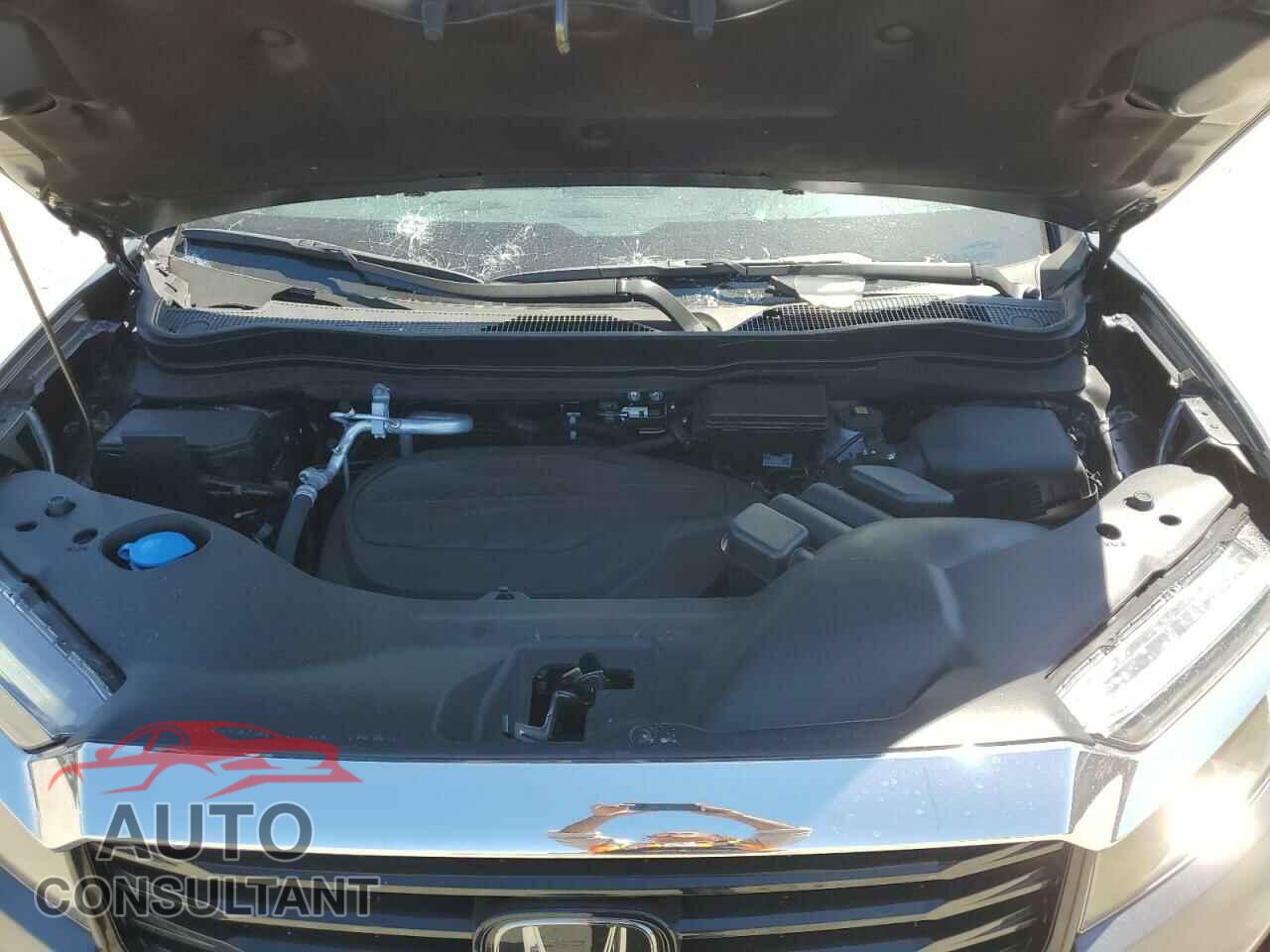 HONDA RIDGELINE 2023 - 5FPYK3F73PB056262