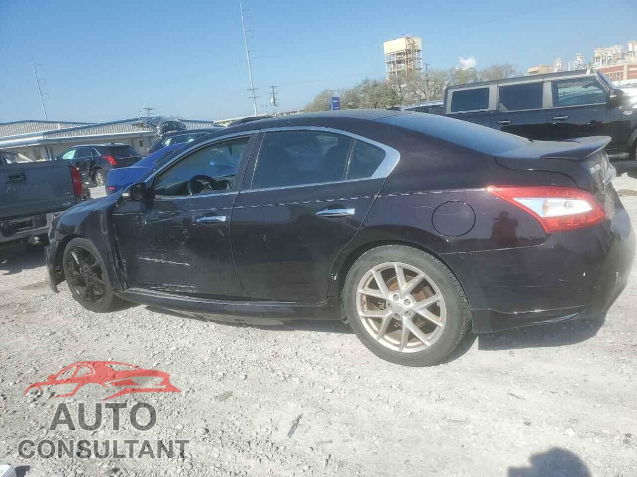 NISSAN MAXIMA 2011 - 1N4AA5AP0BC804848
