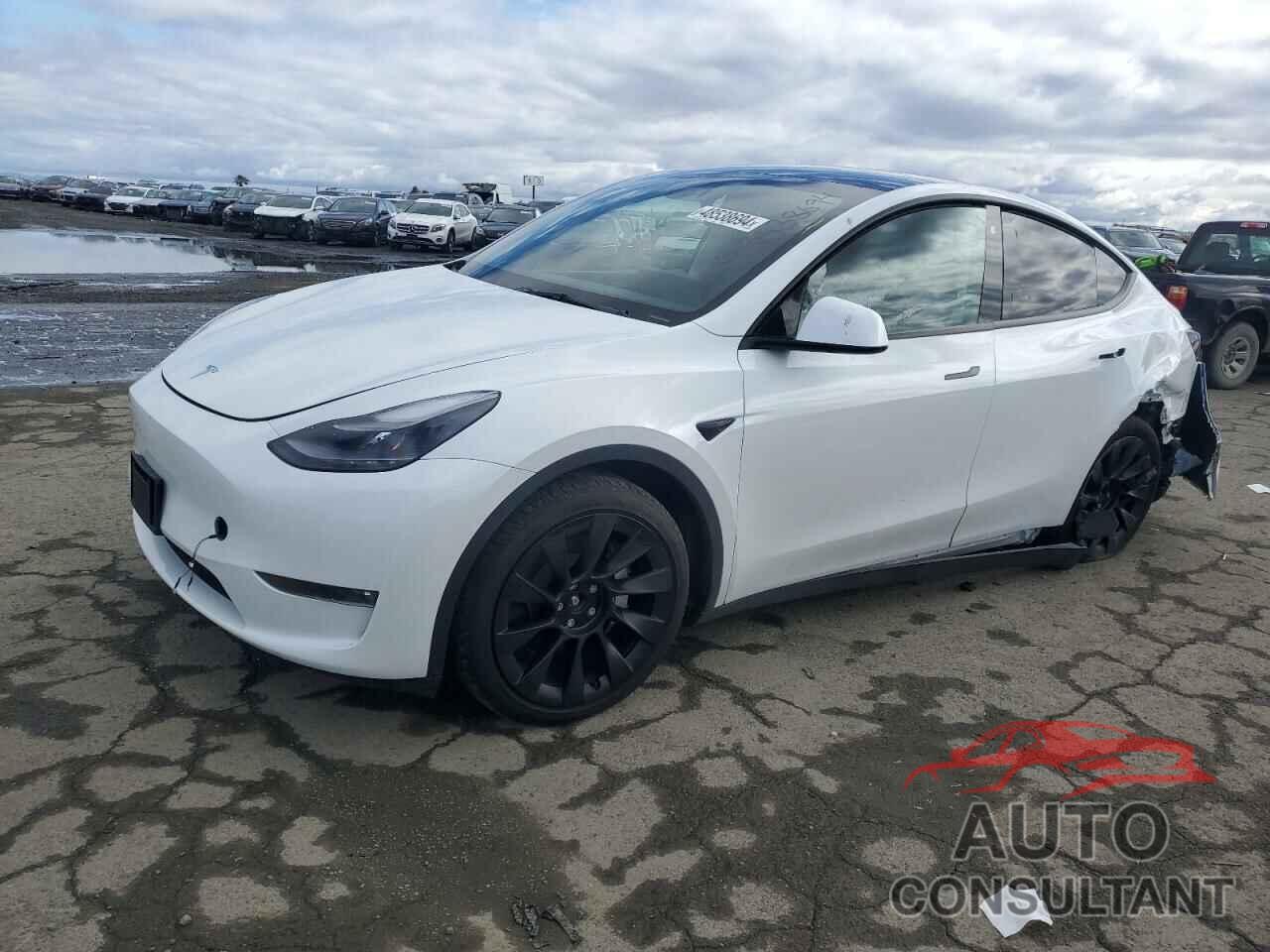 TESLA MODEL Y 2023 - 7SAYGDEE0PF676277