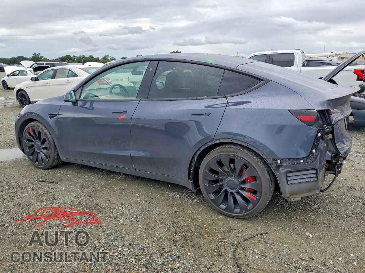 TESLA MODEL Y 2022 - 7SAYGDEF2NF404092