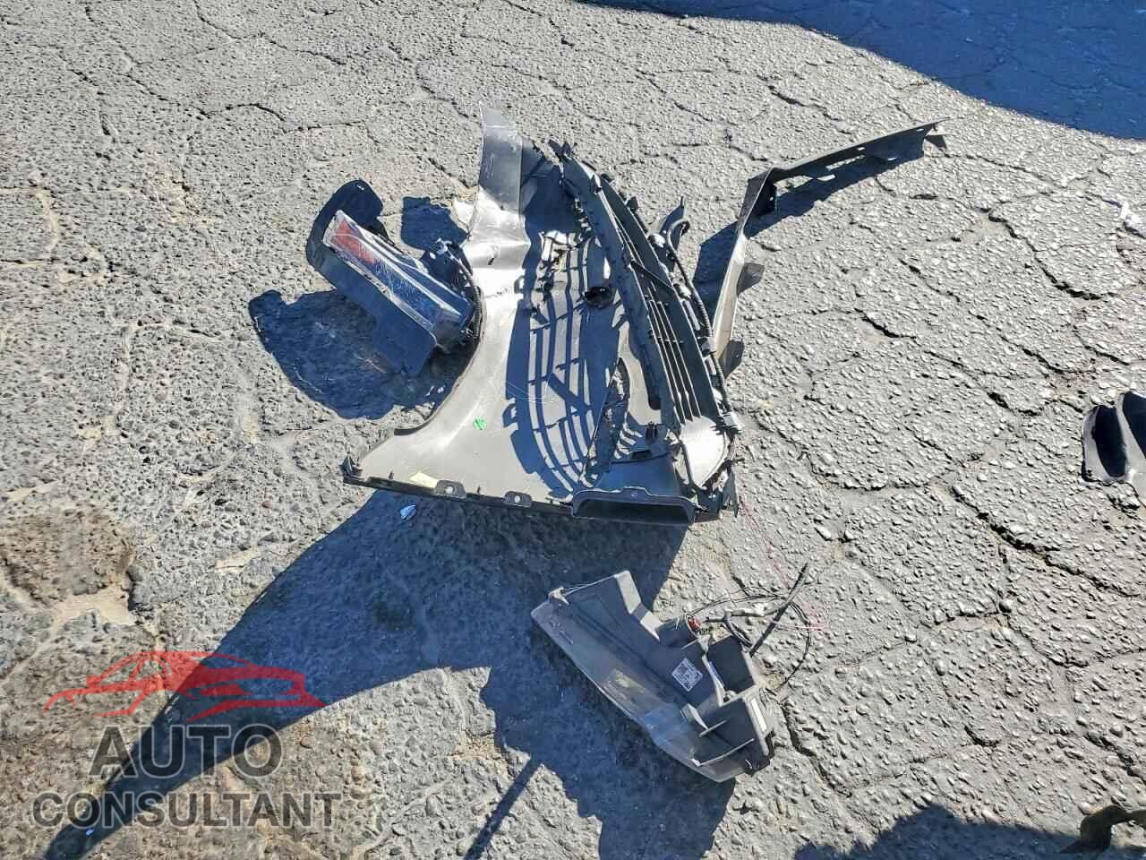 TESLA MODEL Y 2024 - 7SAYGDED9RF073242