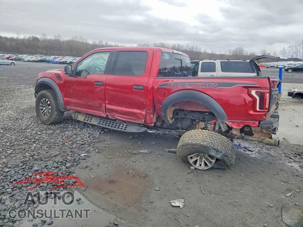FORD F150 2019 - 1FTFW1RG8KFB39047