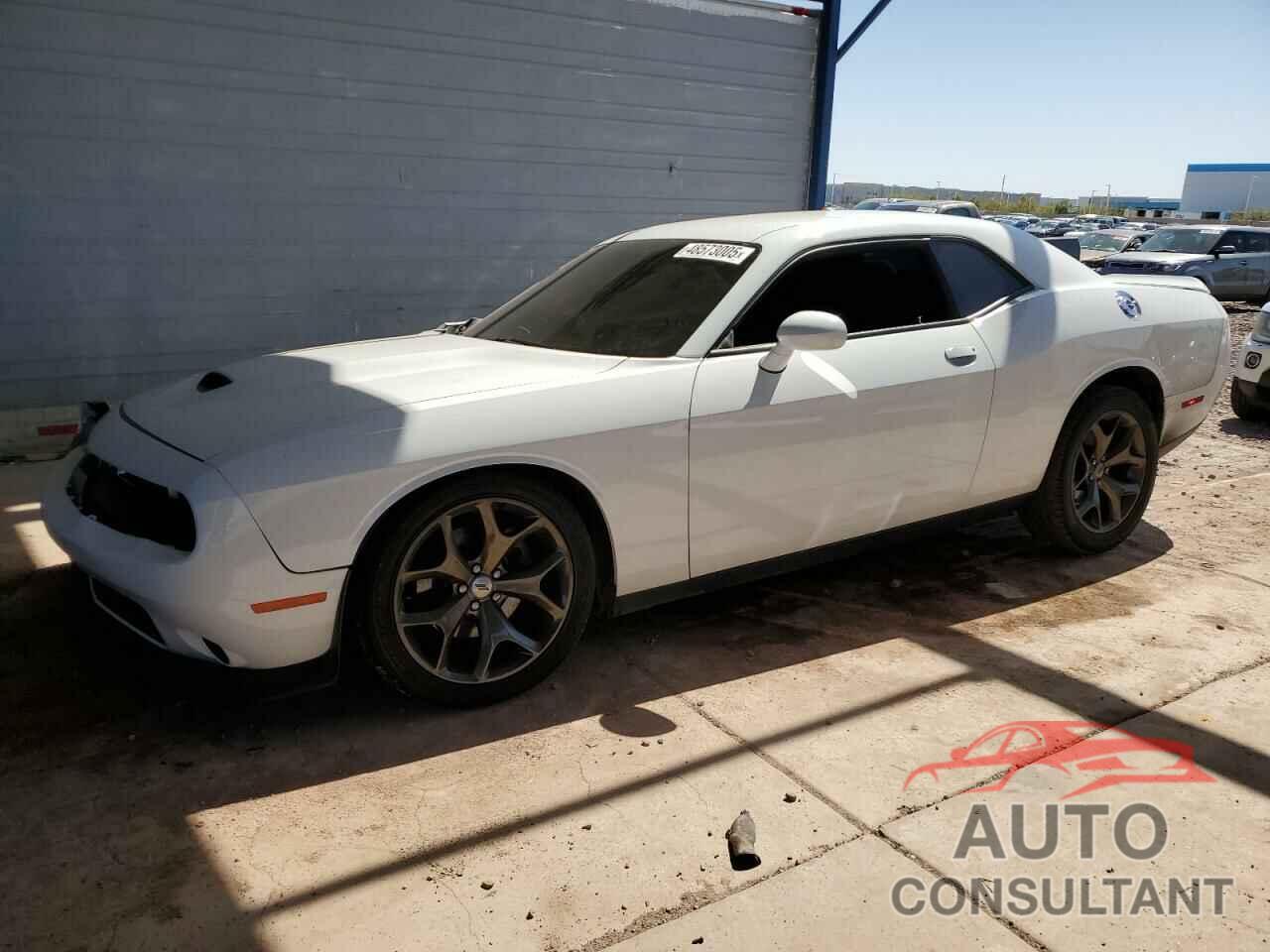 DODGE CHALLENGER 2019 - 2C3CDZBT7KH583537