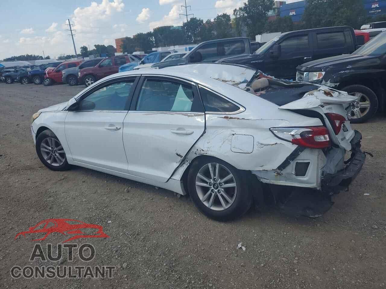 HYUNDAI SONATA 2016 - 5NPE24AF7GH390084