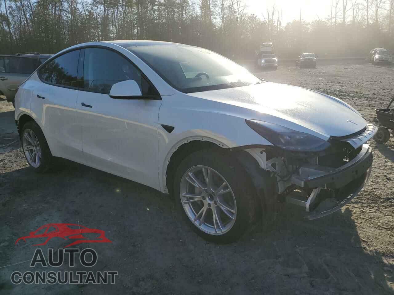TESLA MODEL Y 2024 - 7SAYGDED6RF027481