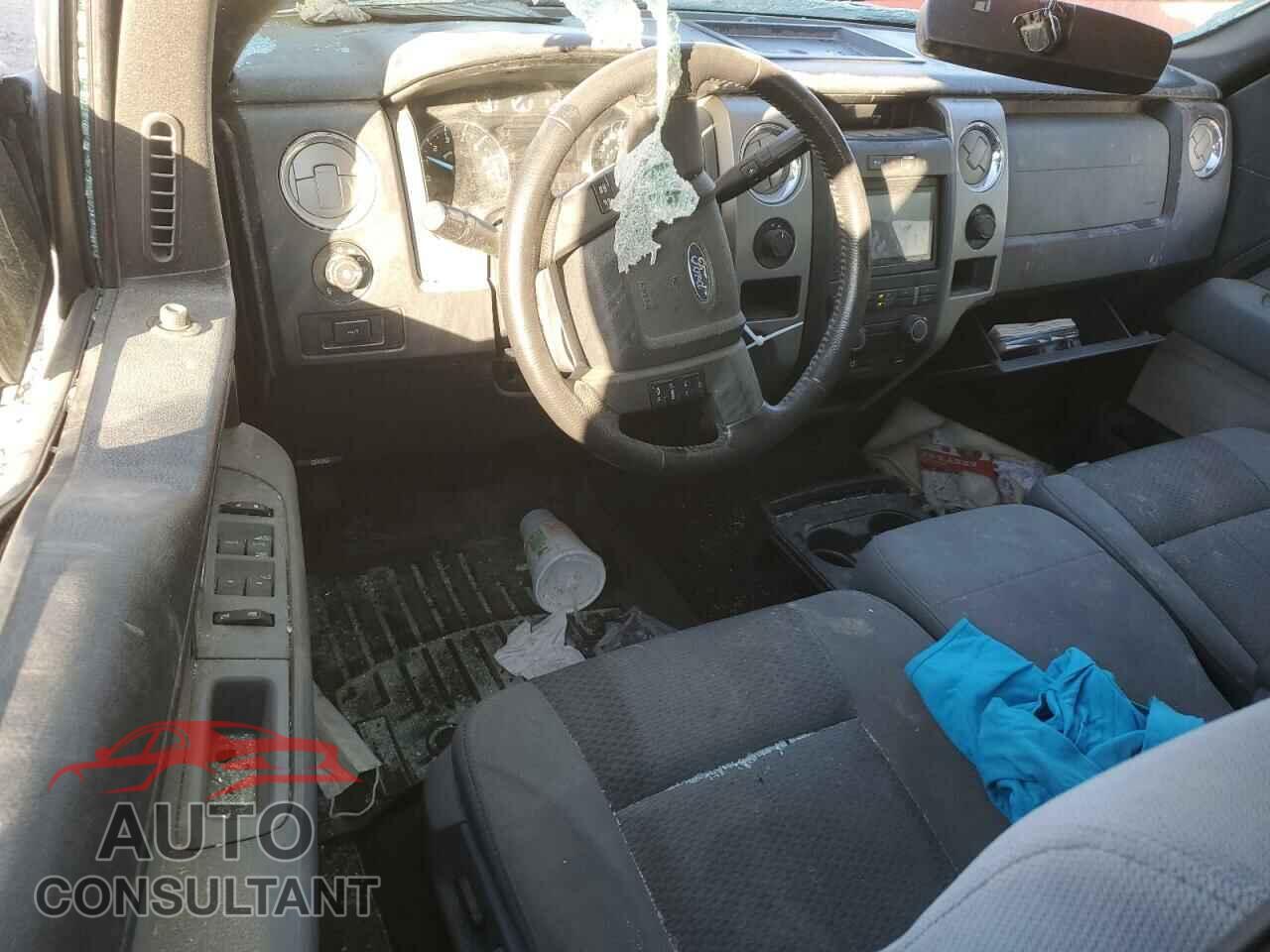 FORD F-150 2011 - 1FTFX1EF3BKD43207