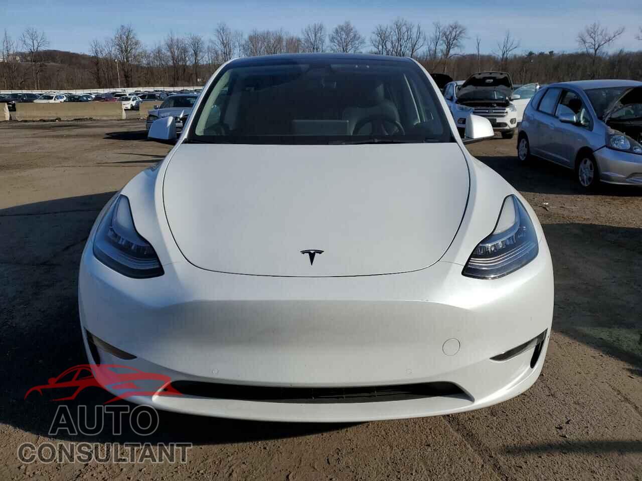 TESLA MODEL Y 2022 - 7SAYGDEE1NF435518