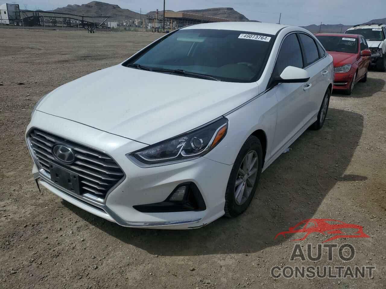 HYUNDAI SONATA 2019 - 5NPE24AF6KH729930