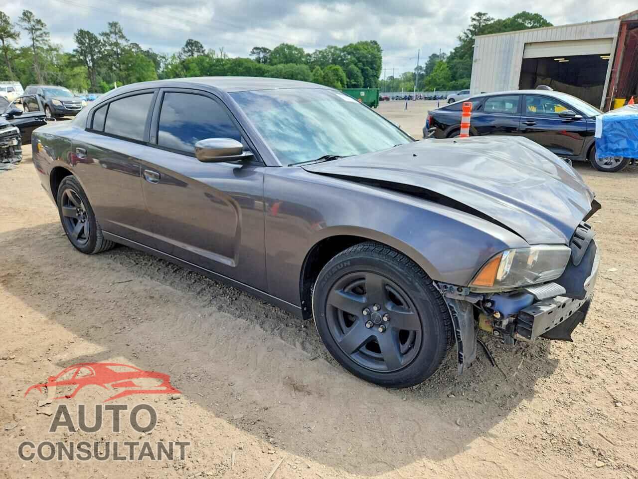 DODGE CHARGER 2013 - 2C3CDXAG2DH689969