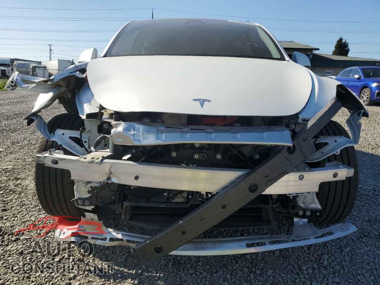 TESLA MODEL Y 2023 - 7SAYGDEE5PF751944