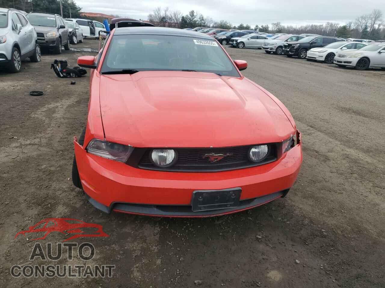 FORD MUSTANG 2011 - 1ZVBP8CF1B5132321