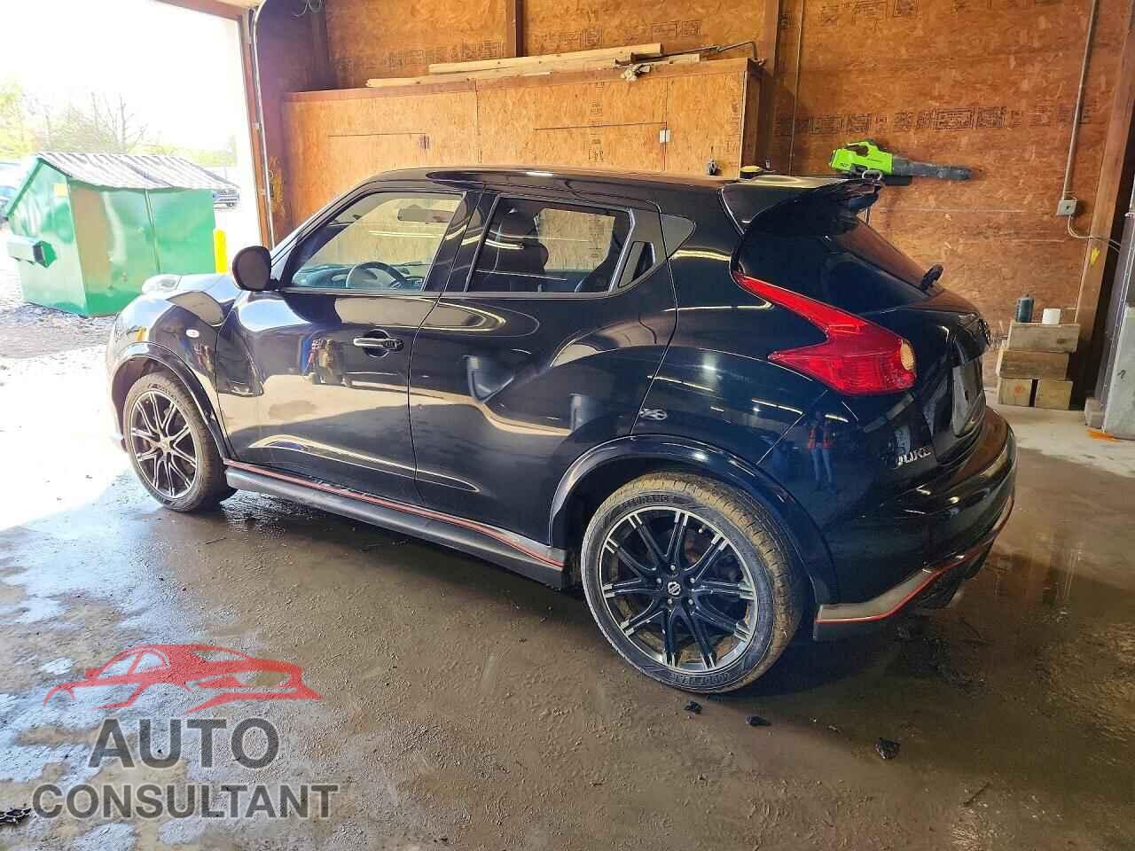 NISSAN JUKE 2014 - JN8DF5MVXET150095