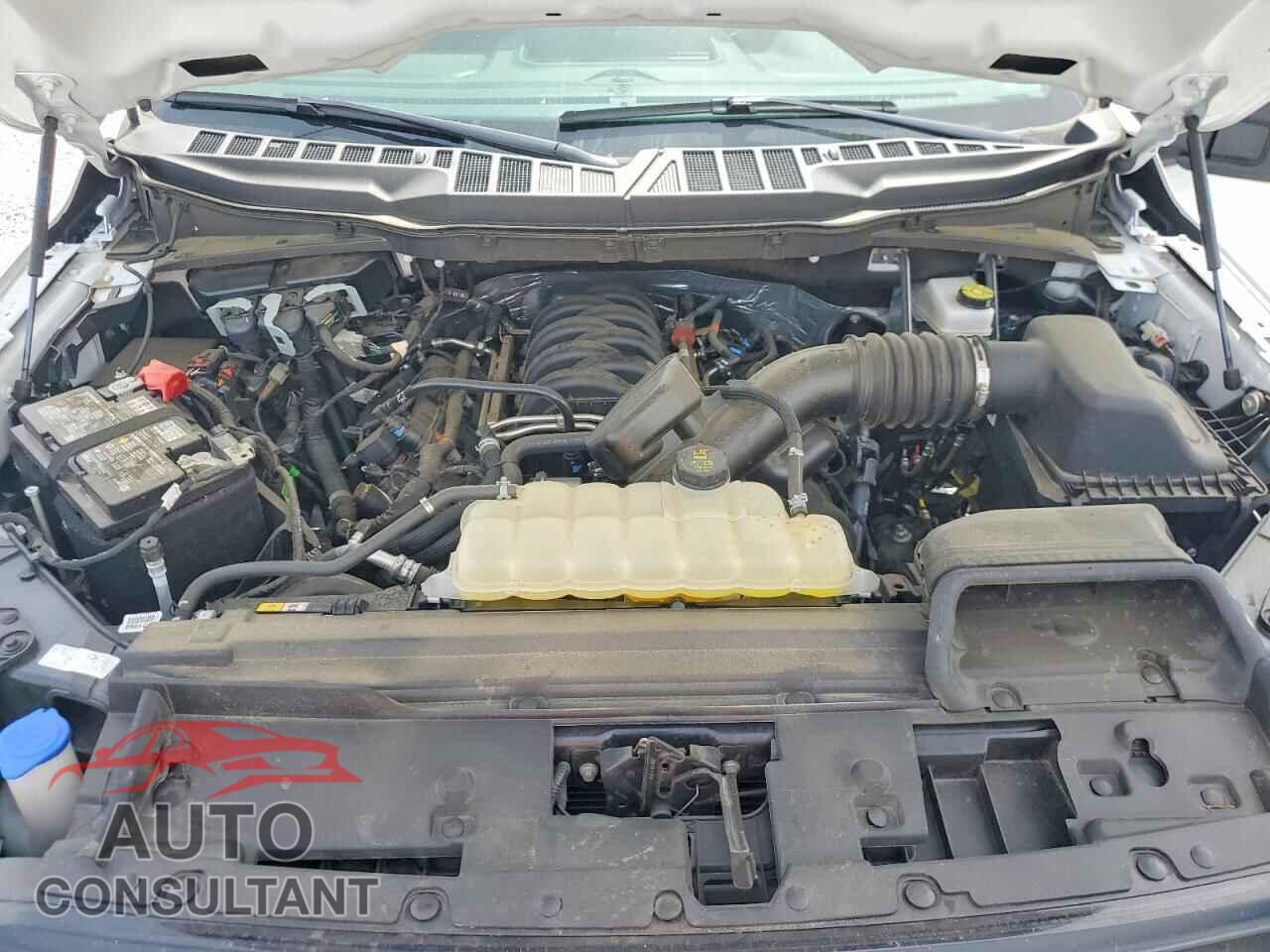 FORD F150 2025 - 1FTFX2L56SKD71096