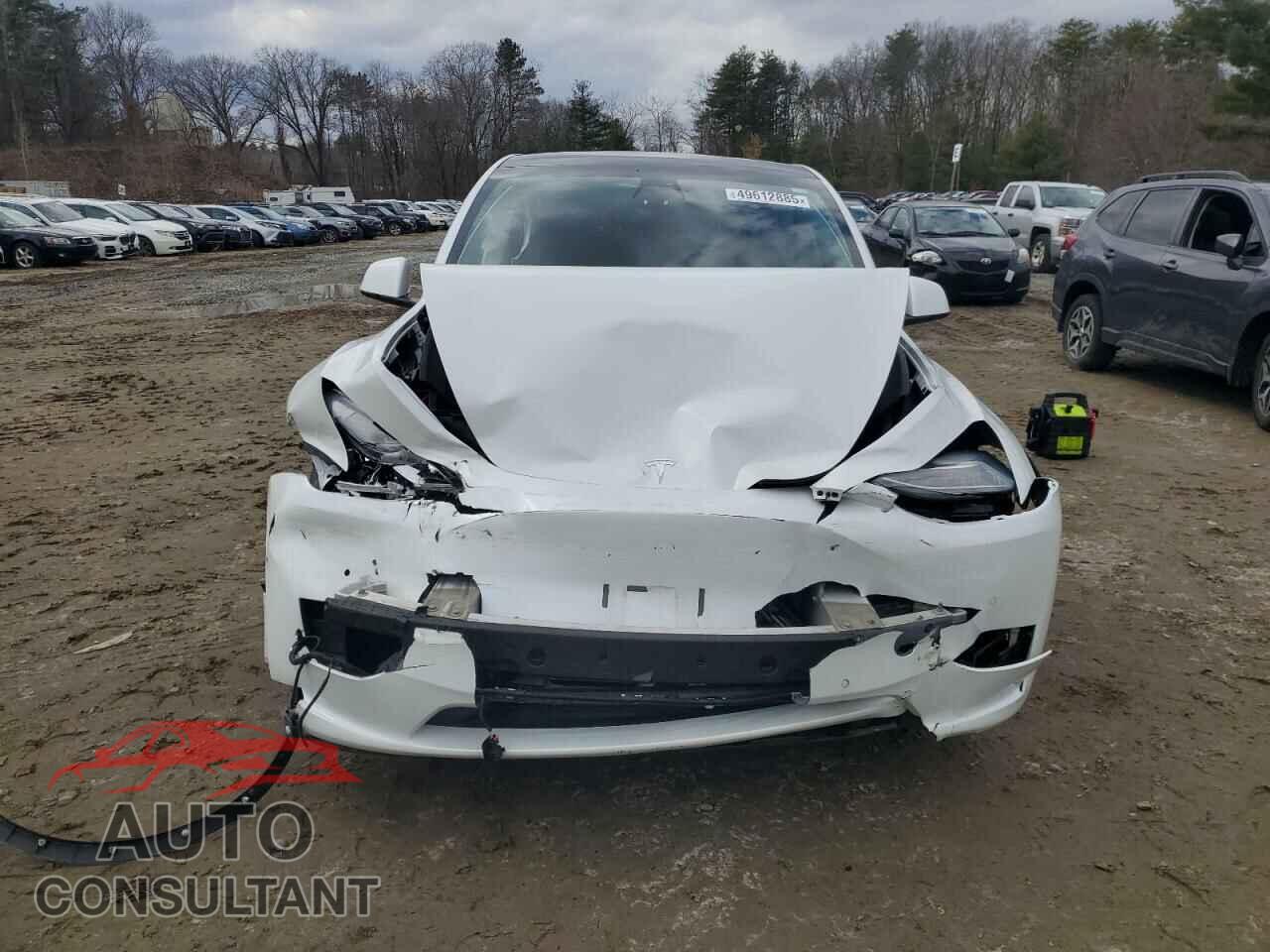 TESLA MODEL Y 2021 - 5YJYGDEE1MF190991
