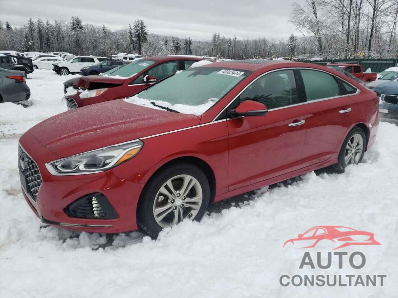 HYUNDAI SONATA 2019 - 5NPE34AF7KH740268