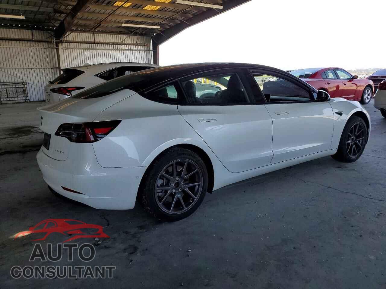 TESLA MODEL 3 2019 - 5YJ3E1EB6KF408330