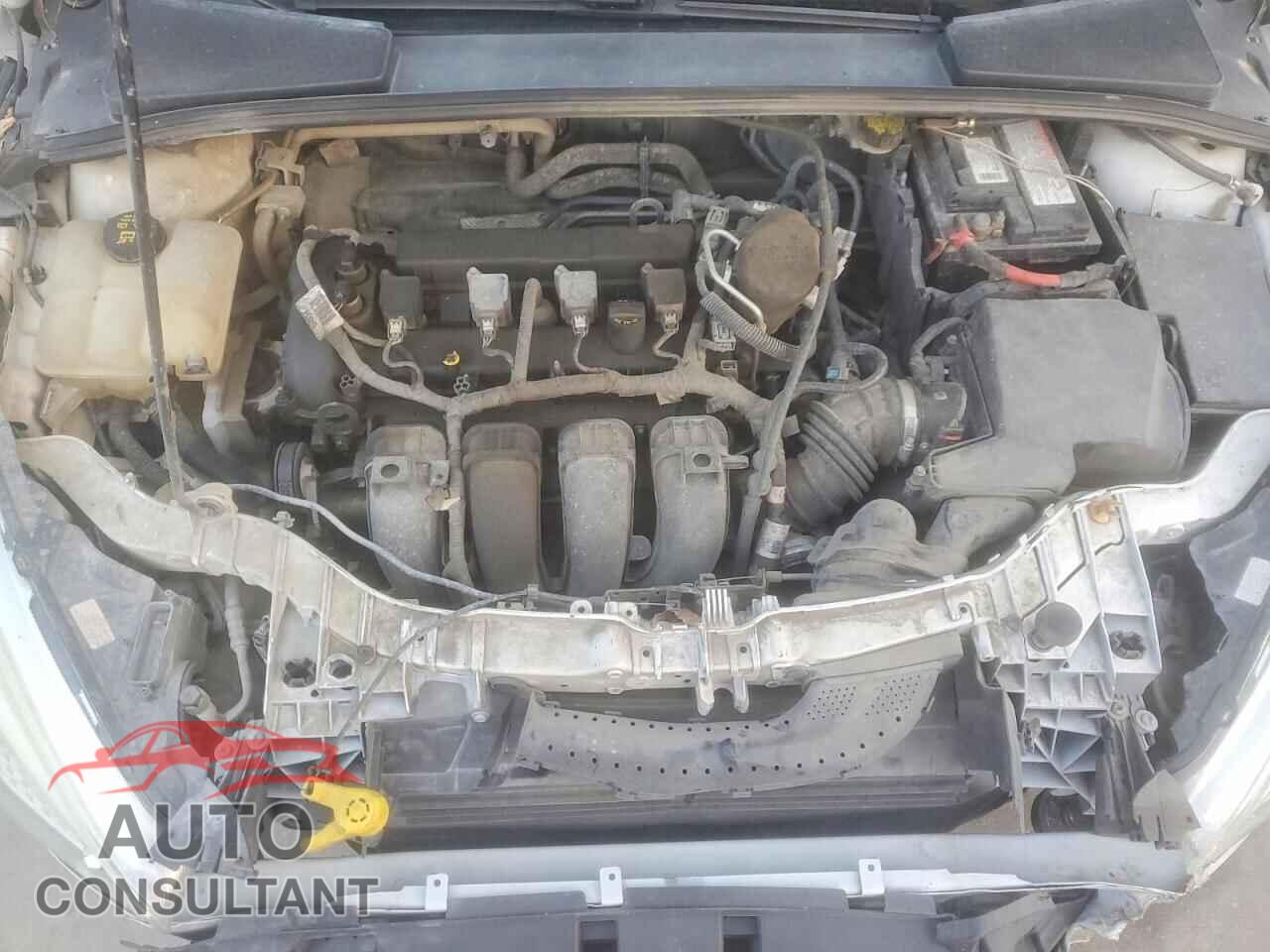 FORD FOCUS 2016 - 1FADP3F20GL253065