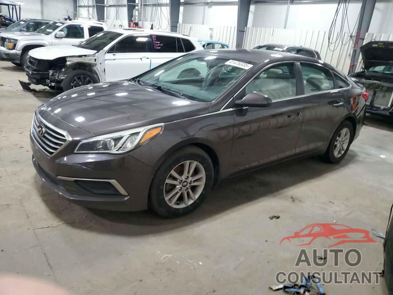 HYUNDAI SONATA 2016 - 5NPE24AF5GH397258