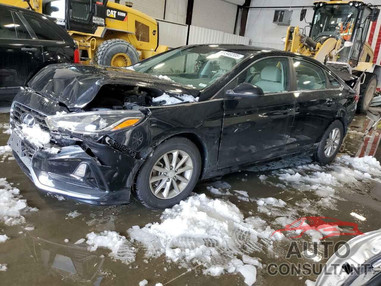 HYUNDAI SONATA 2019 - 5NPE24AF4KH801675