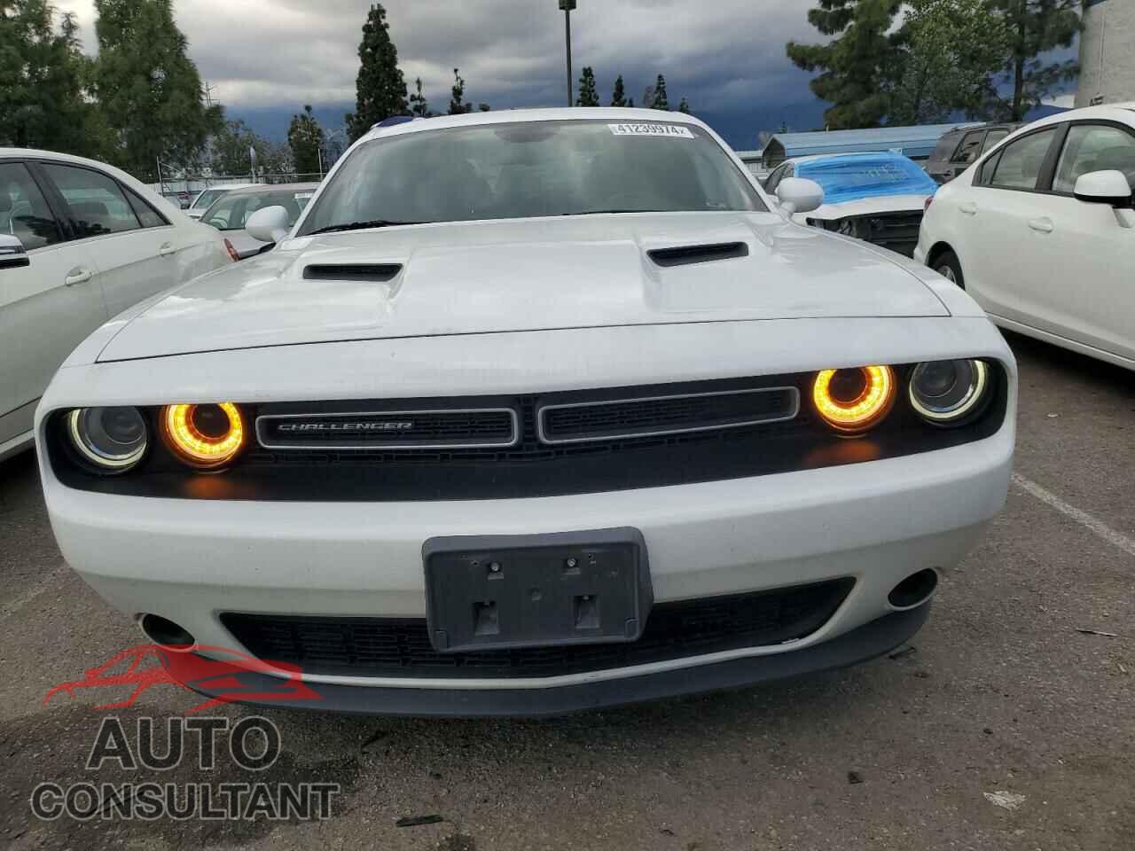 DODGE CHALLENGER 2019 - 2C3CDZAG4KH670073