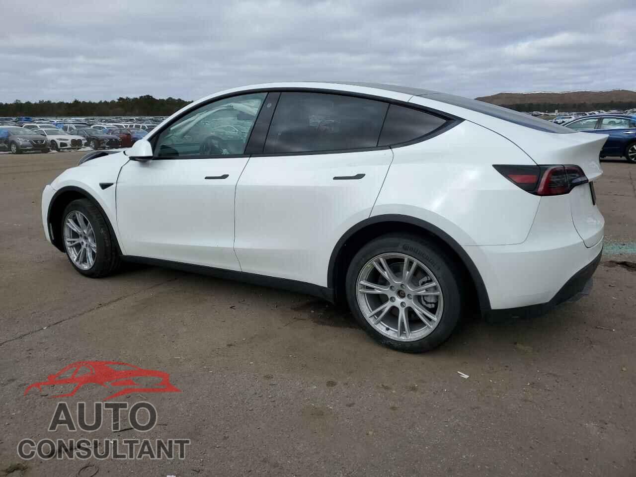 TESLA MODEL Y 2023 - 7SAYGDEE6PF609683