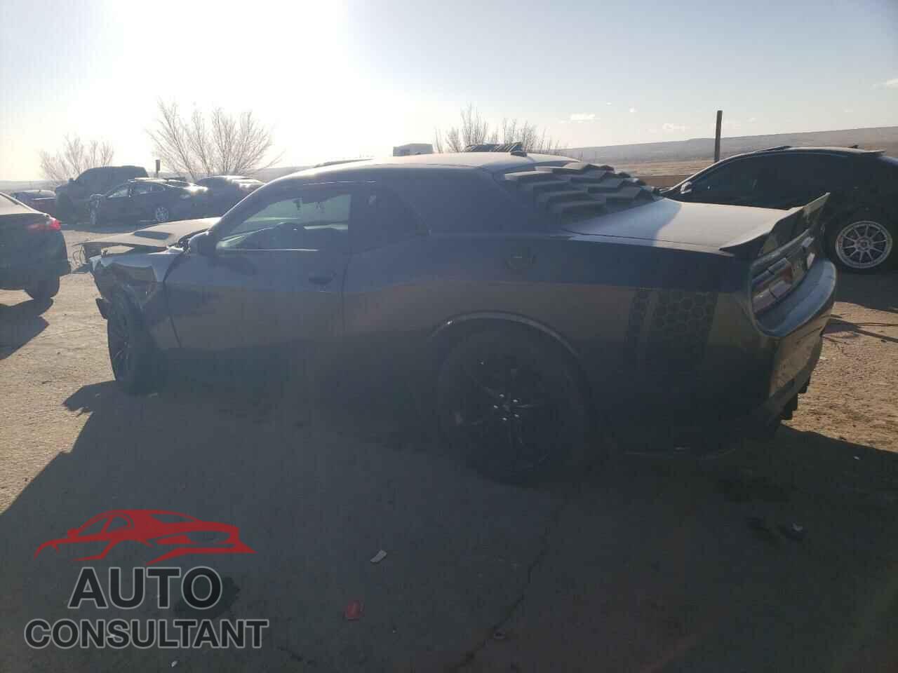 DODGE CHALLENGER 2018 - 2C3CDZAG8JH310917