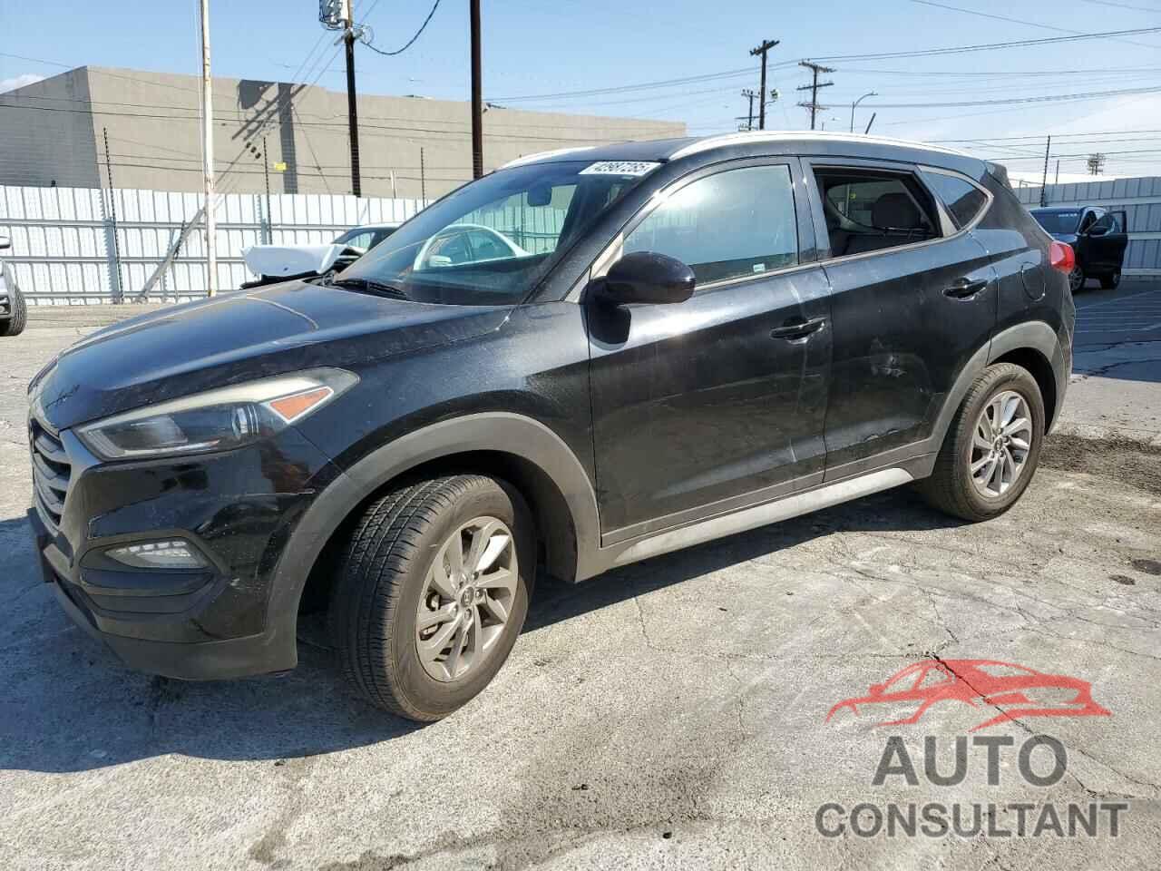 HYUNDAI TUCSON 2017 - KM8J33A41HU565372