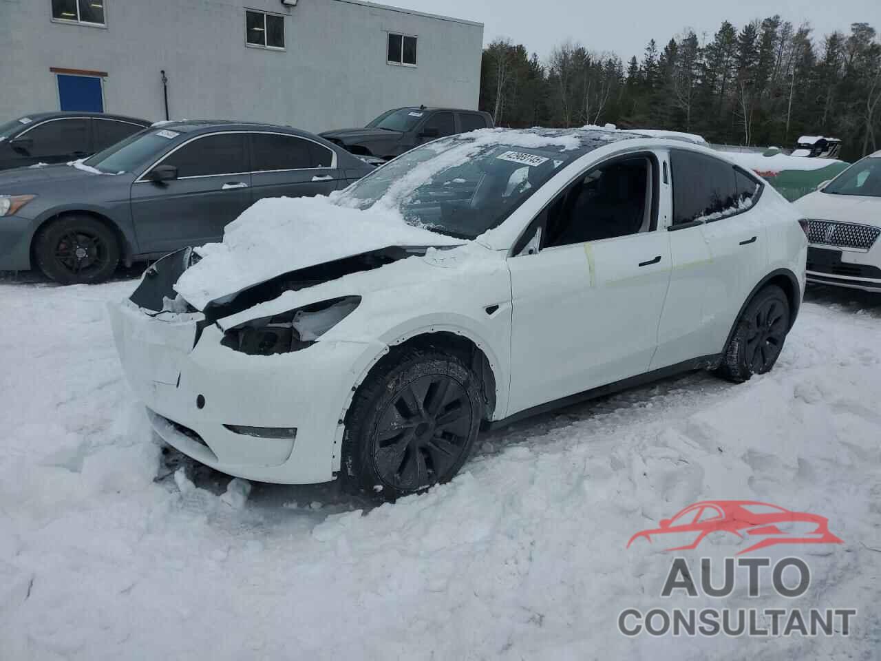TESLA MODEL Y 2024 - 7SAYGDEE2RF104114